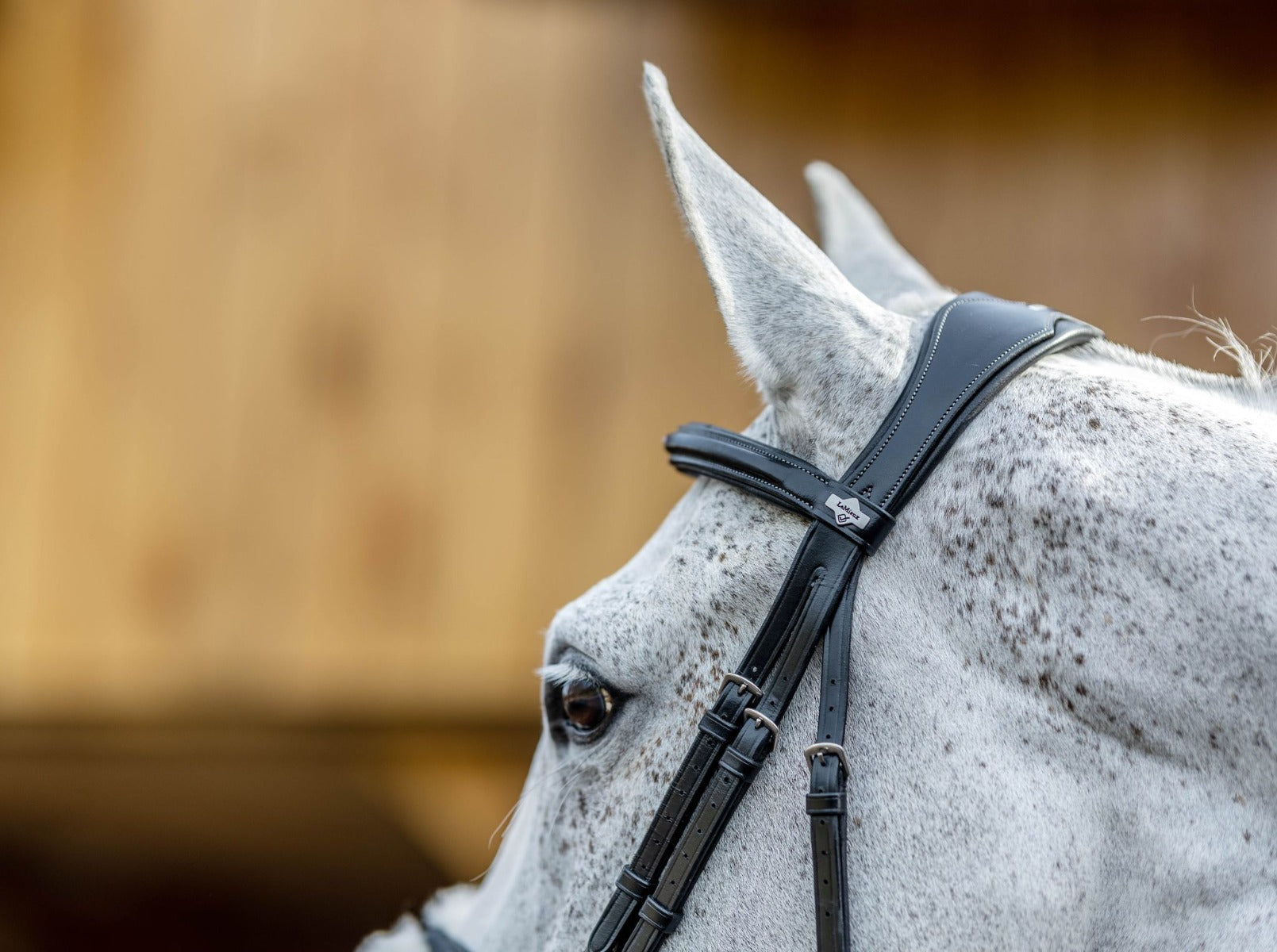 LeMieux Grackle Bridle