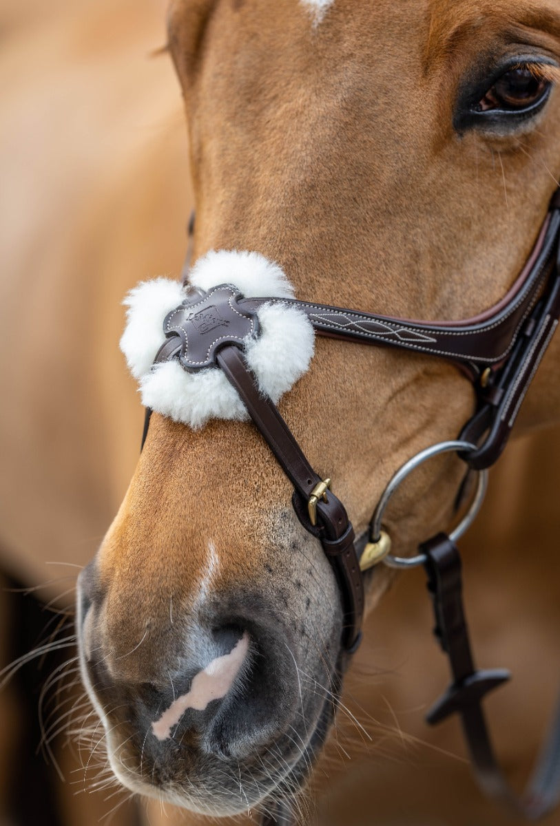 LeMieux Grackle Bridle