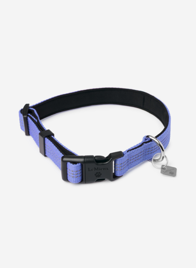 LeMieux Henley Webbing Dog Collar