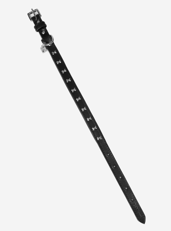 LeMieux Chelsea Dog Collar-Dog Leads & Collars-Eland Lodge