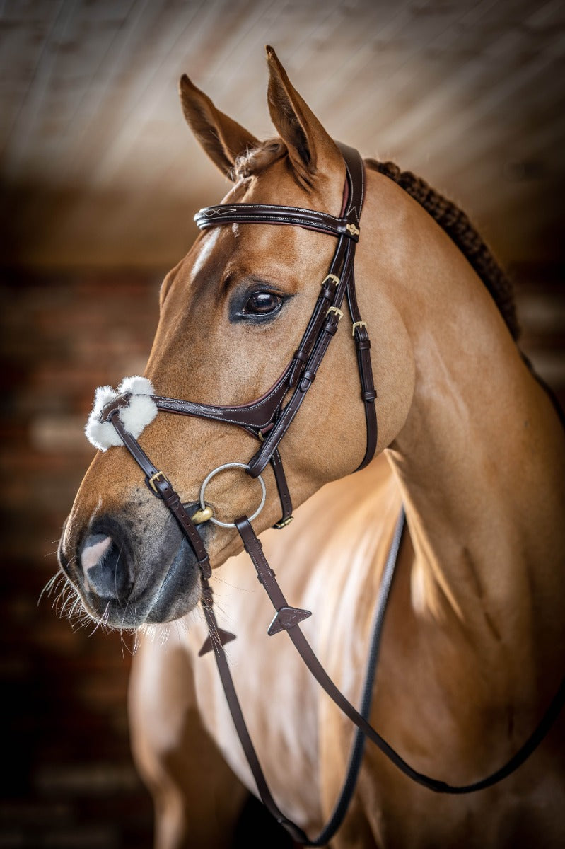 LeMieux Grackle Bridle-Bridles-Eland Lodge