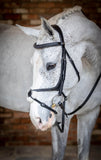 LeMieux Grackle Bridle-Bridles-Eland Lodge