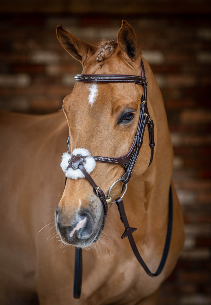 LeMieux Grackle Bridle-Bridles-Eland Lodge