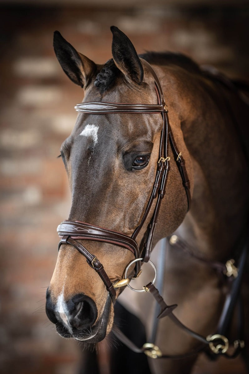 LeMieux Kudos Competition Flash Bridle-Bridles-Eland Lodge