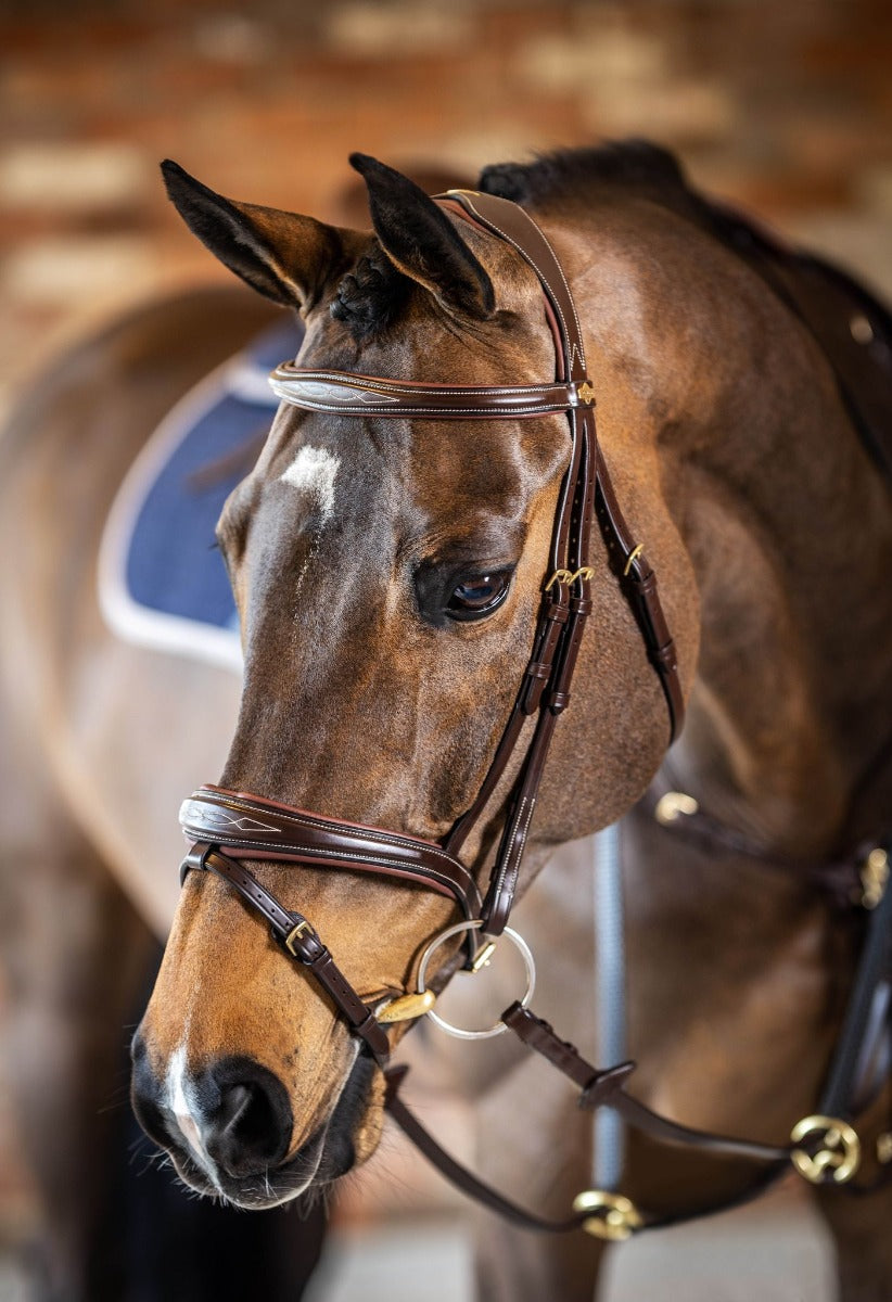 LeMieux Kudos Competition Flash Bridle-Bridles-Eland Lodge