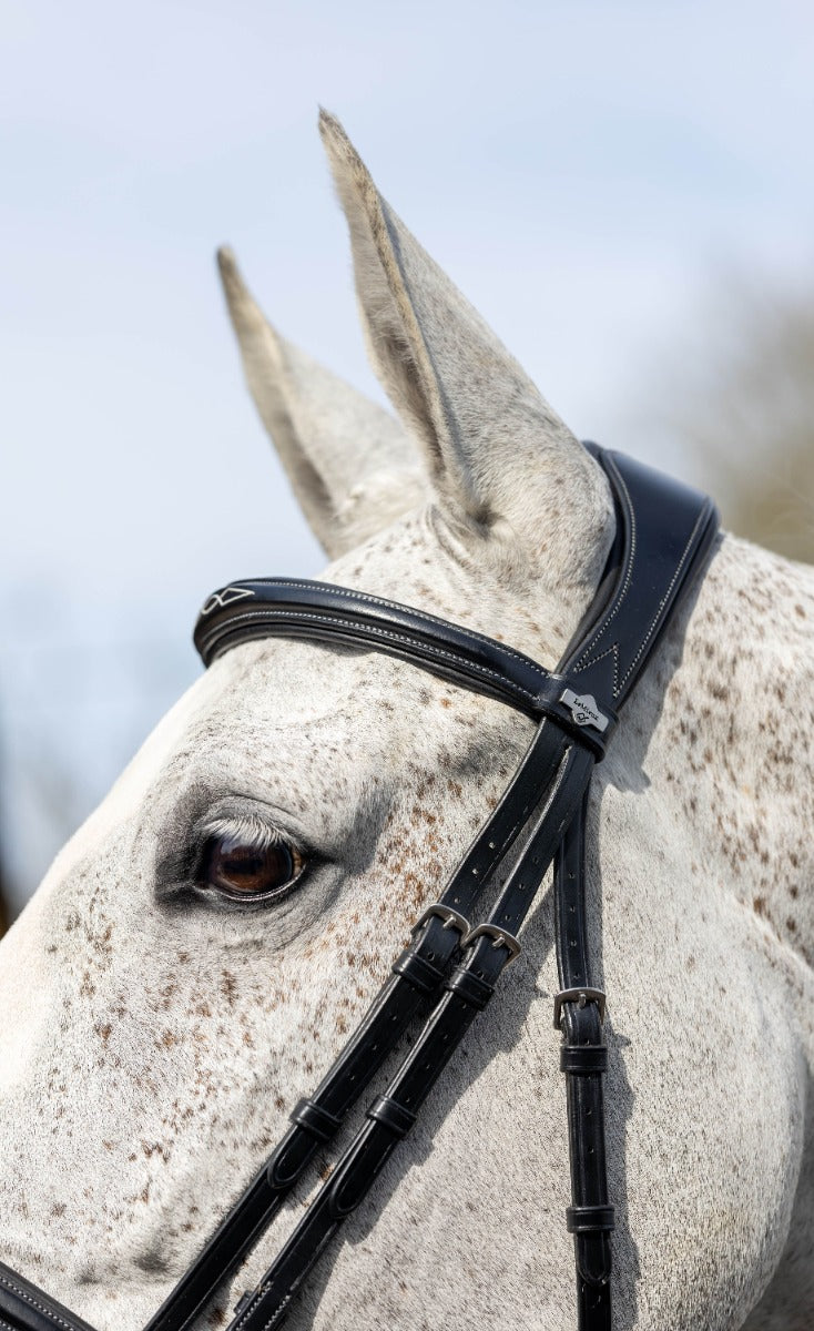 LeMieux Kudos Competition Flash Bridle-Bridles-Eland Lodge
