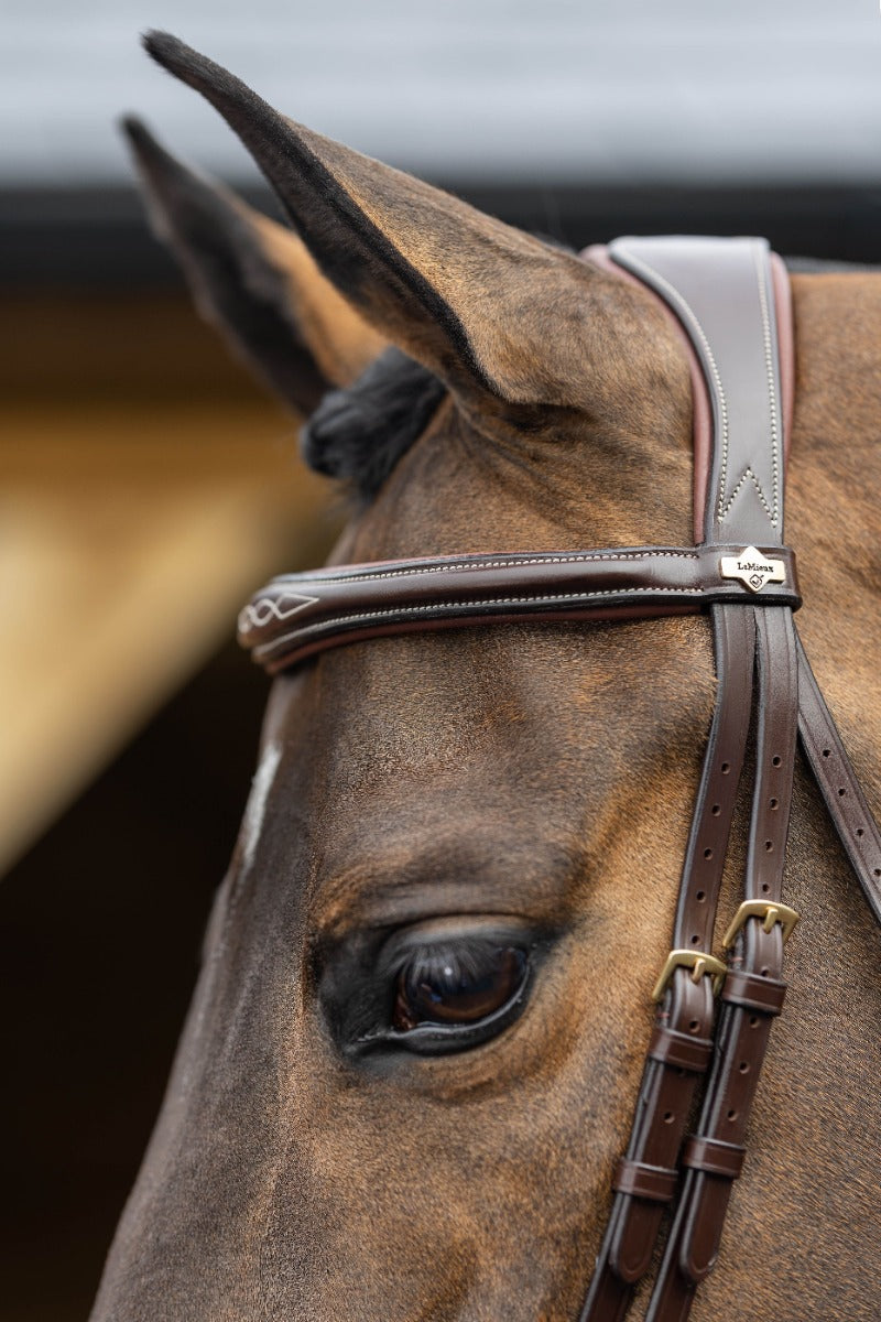 LeMieux Kudos Competition Flash Bridle-Bridles-Eland Lodge