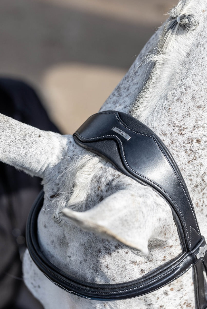 LeMieux Kudos Competition Flash Bridle-Bridles-Eland Lodge