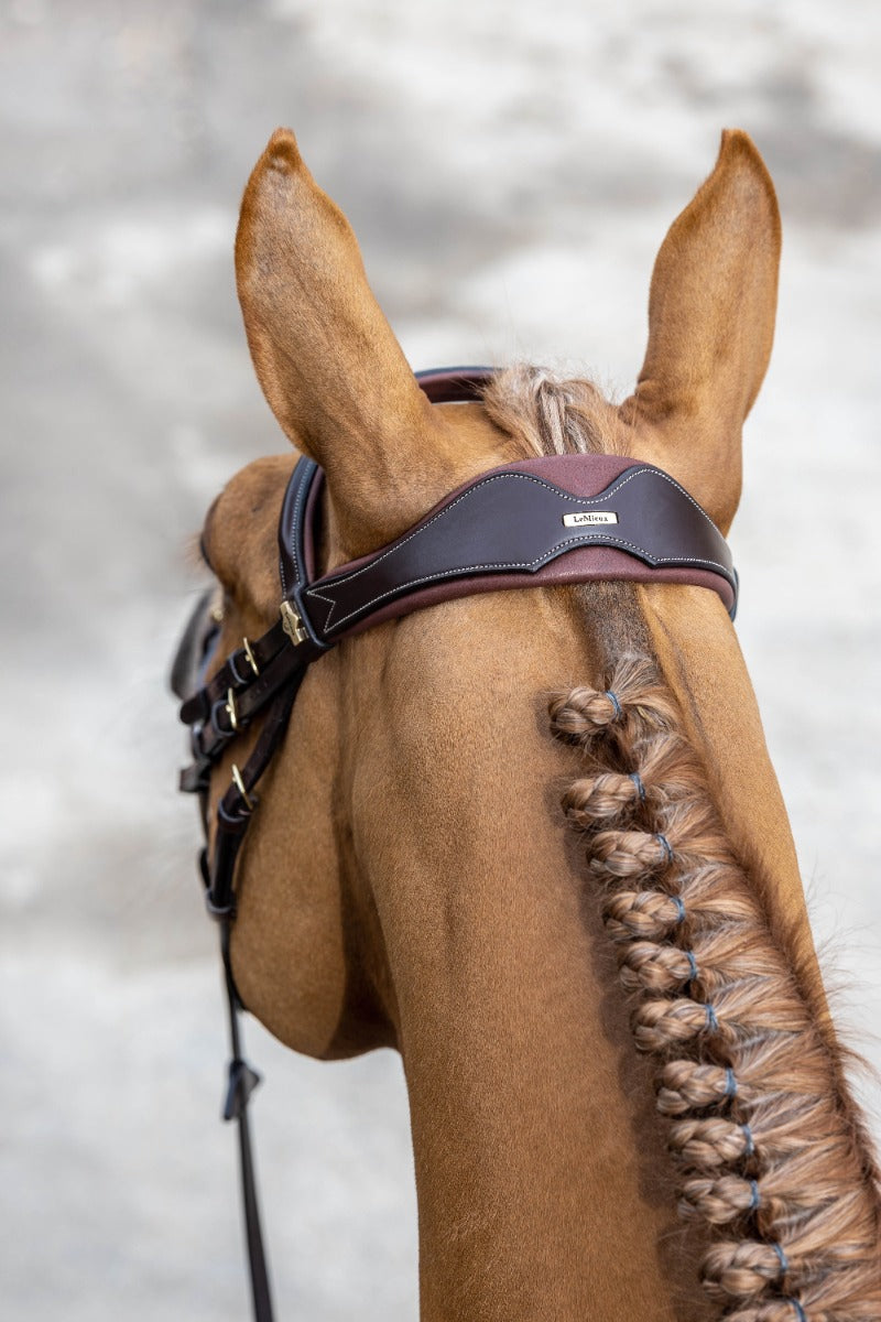 LeMieux Kudos Competition Flash Bridle-Bridles-Eland Lodge