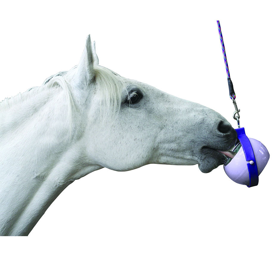 Likit Boredom Buster-Treats-Eland Lodge