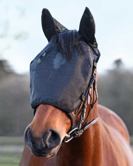 Equilibrium Net Relief Riding Mask