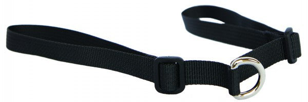 Point Two Saddle Strap