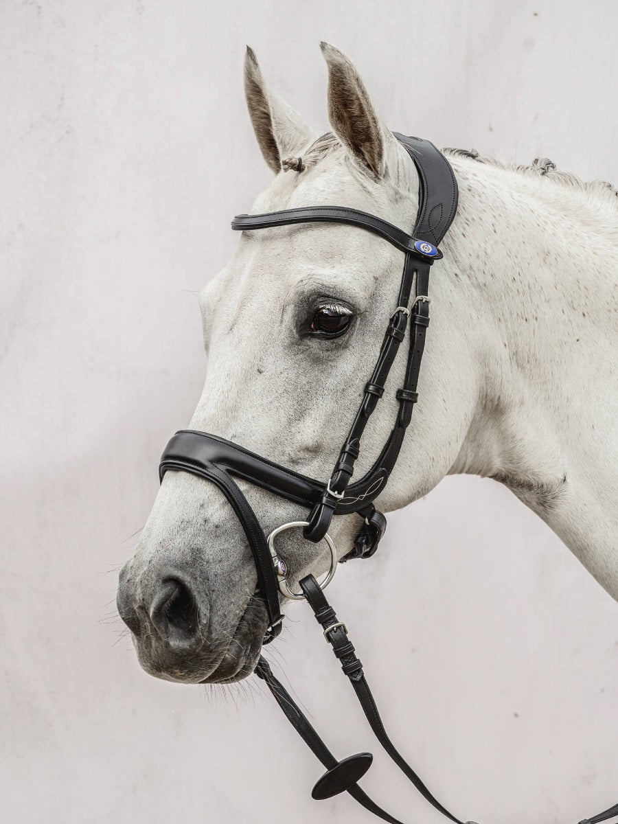 PS of Sweden Jump Off Bridle
