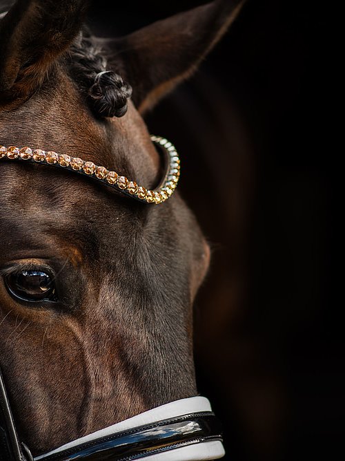 Ps of Sweden Bold Prosecco Browband