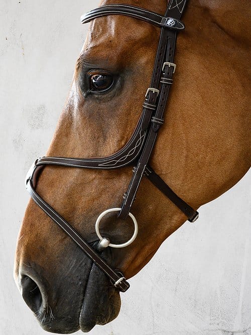 PS of Sweden Limited Edition Athens Bridle