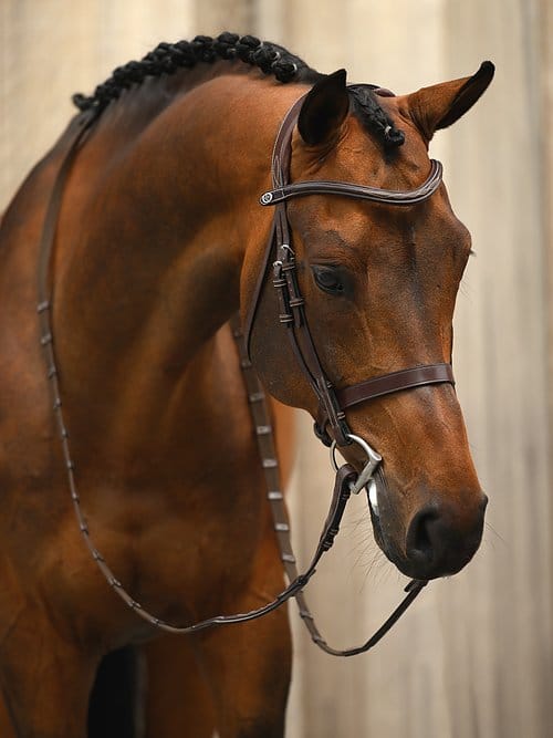 PS of Sweden Limited Edition Wellington Bridle