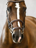 PS of Sweden Paris Bridle