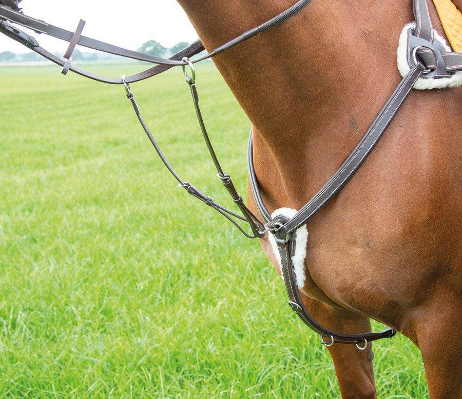 Shires Avignon Five Point Breastplate-Breastplates & Martingales-Eland Lodge