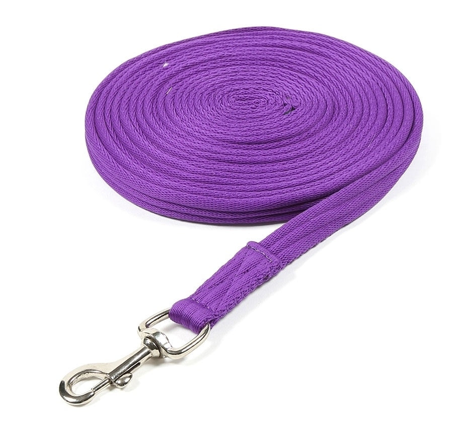 Shires Cushion Web Lunge Line-Training Aids-Eland Lodge