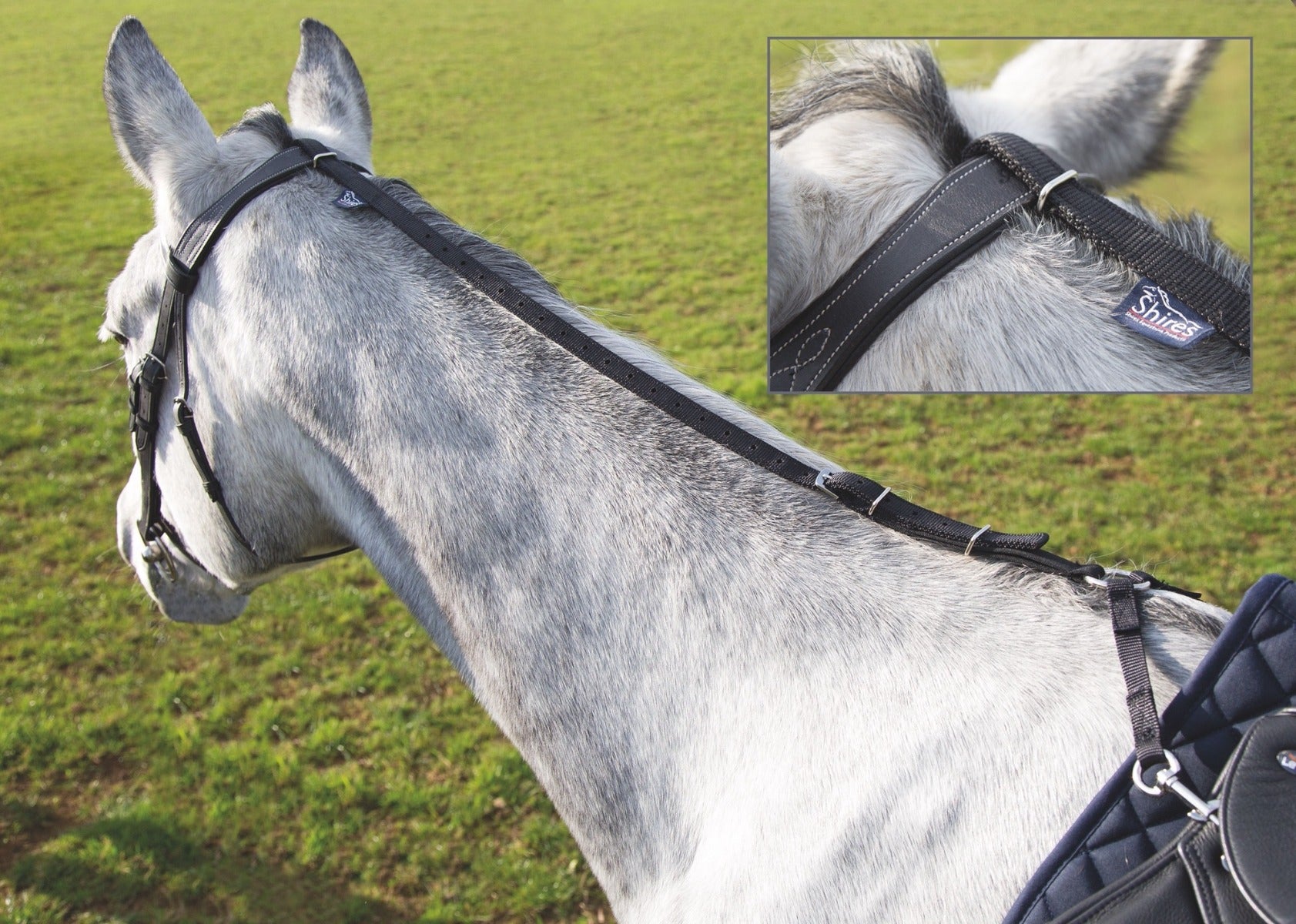 Shires Daisy Rein
