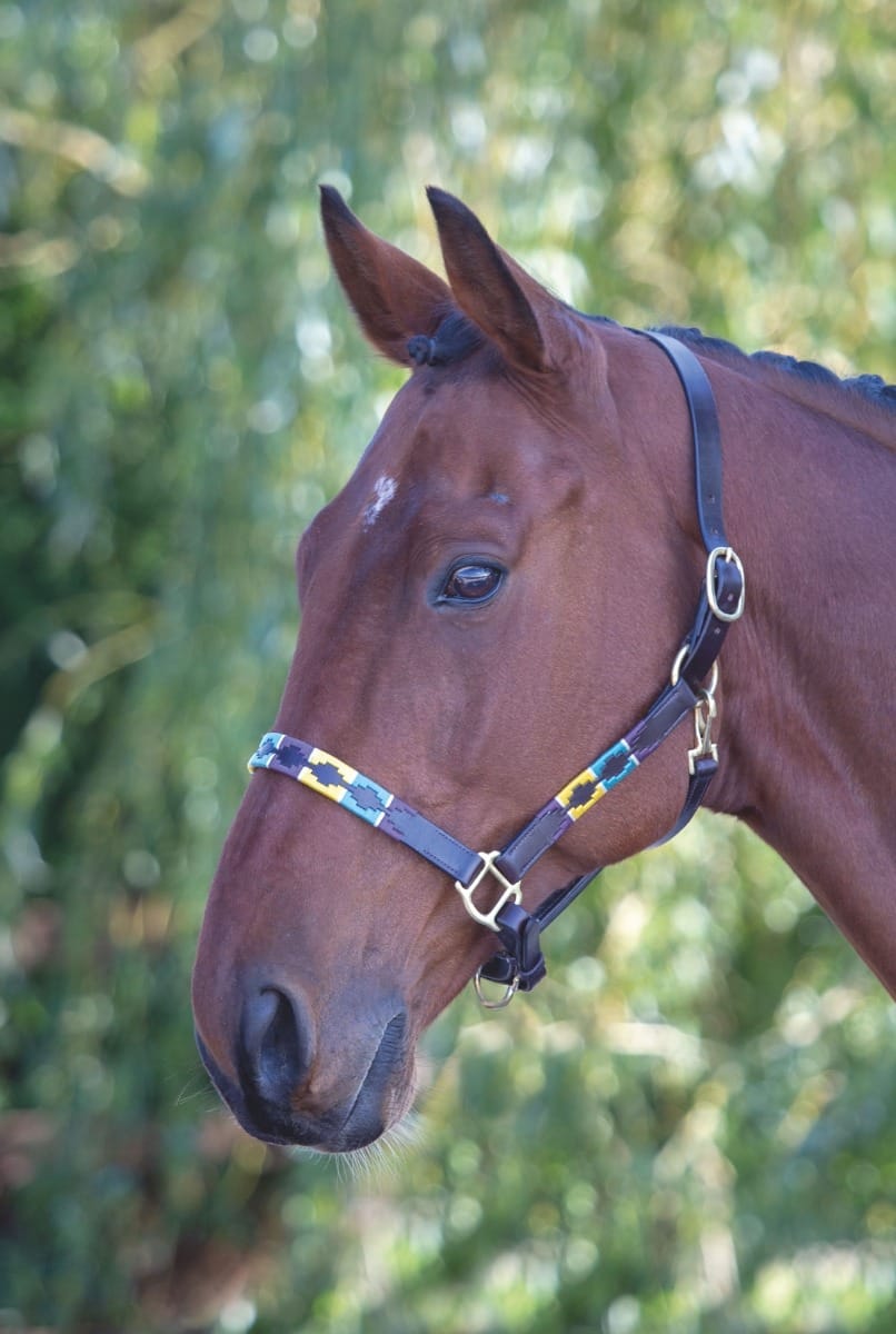 Shires GARA Leather Polo Headcollar