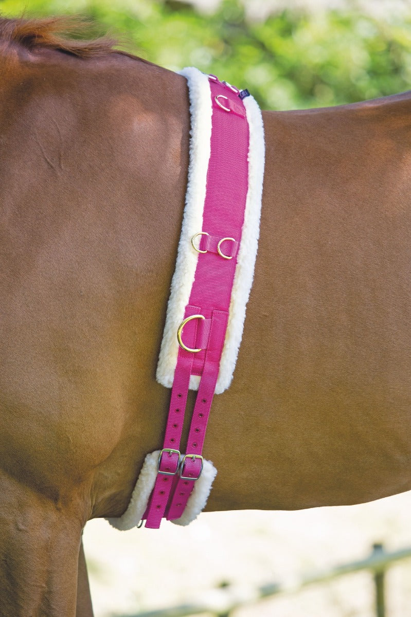 Shires Nylon Roller with Fleece Padding-Training Aids-Eland Lodge