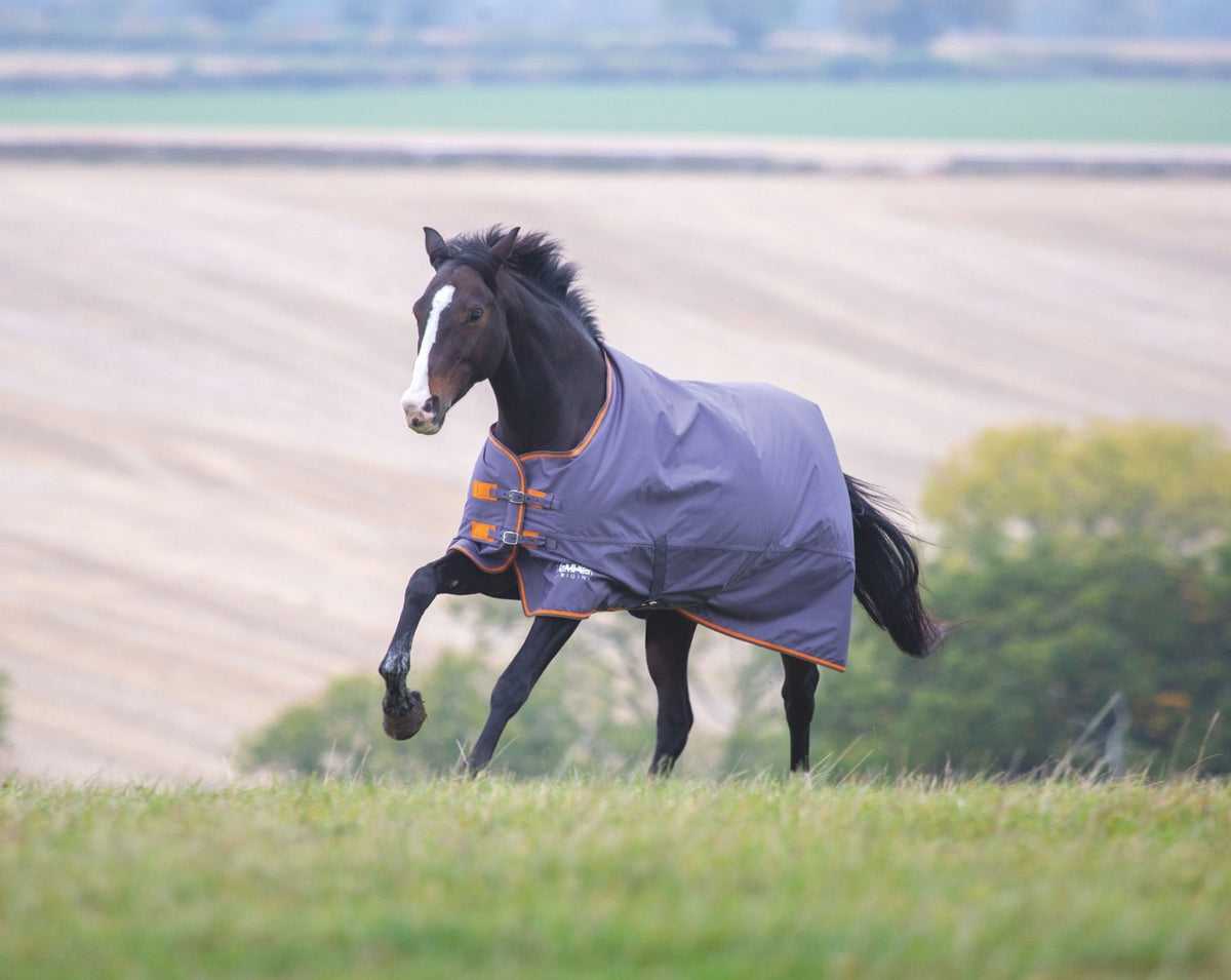 Shires Tempest Original 200g Turnout Rug-Turnout Rugs-Eland Lodge