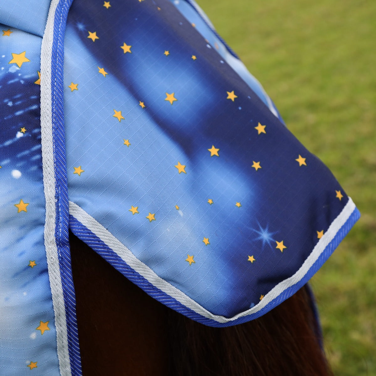 Shires Tempest Original 200g Turnout Rug-Turnout Rugs-Eland Lodge