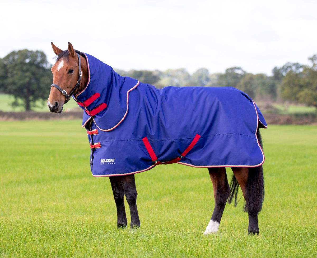 Shires Tempest Original 100g Turnout Rug & Neck