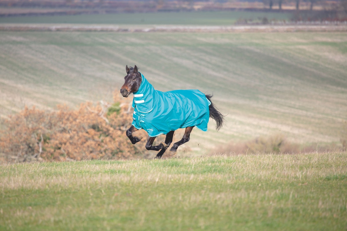 Shires Tempest Plus 200g Turnout Combo Rug