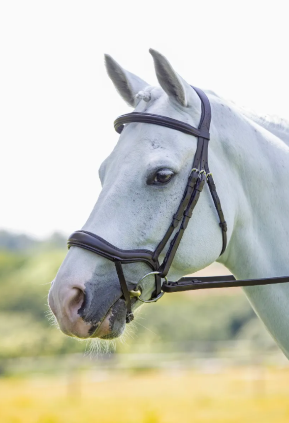 Shires Velociti RAPIDA Ergonomic Flash Bridle